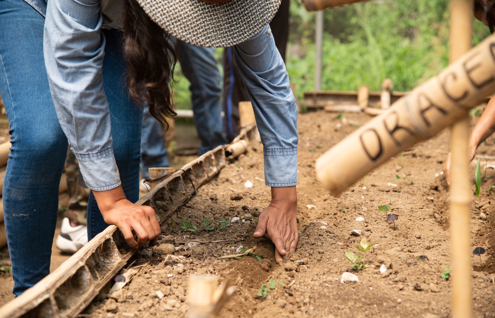 Enseña Fomento Agropecuario a elaboración de Huertos de Traspatio H