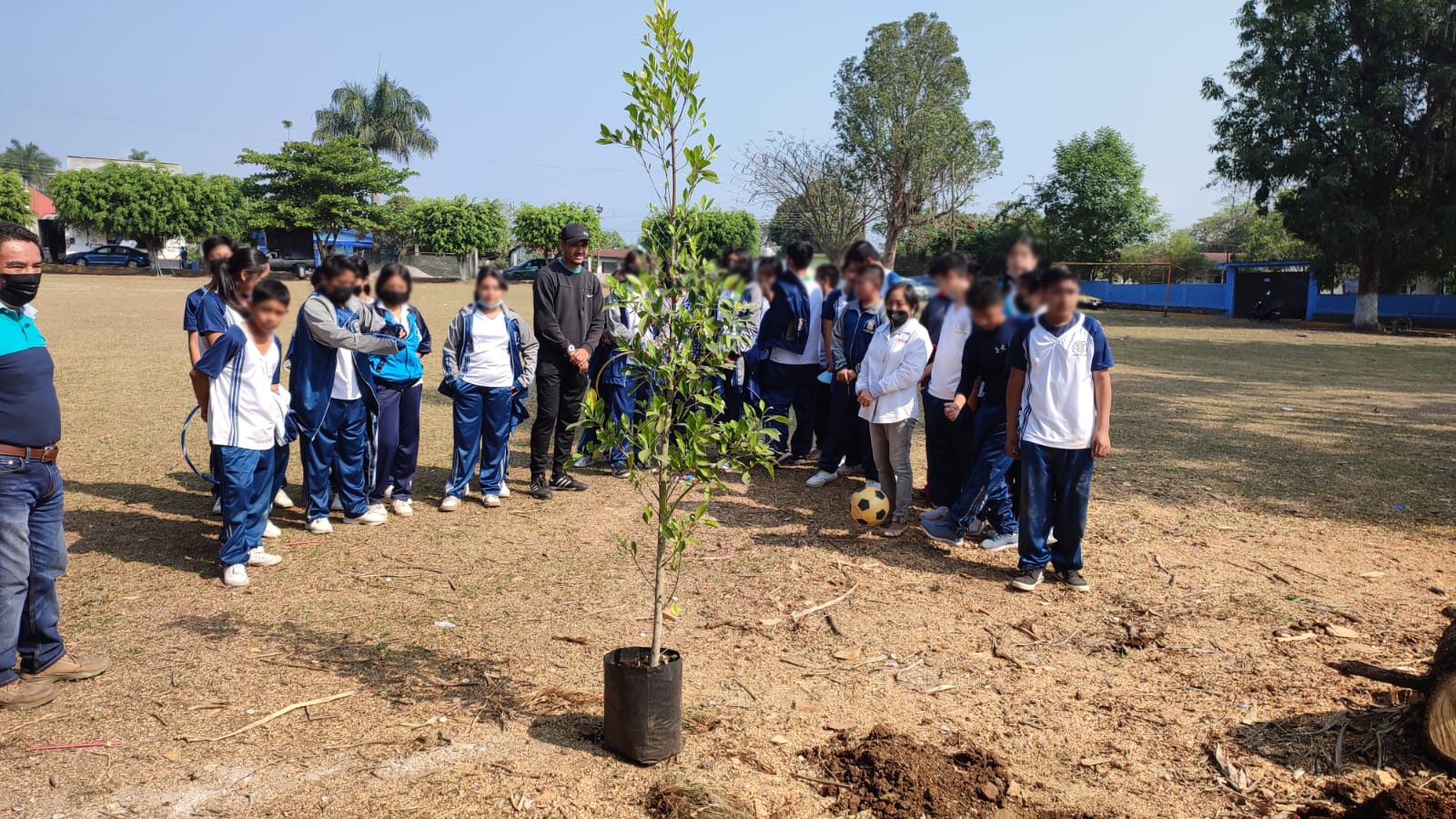 Siembra Ayuntamiento árboles en San José de Tapia