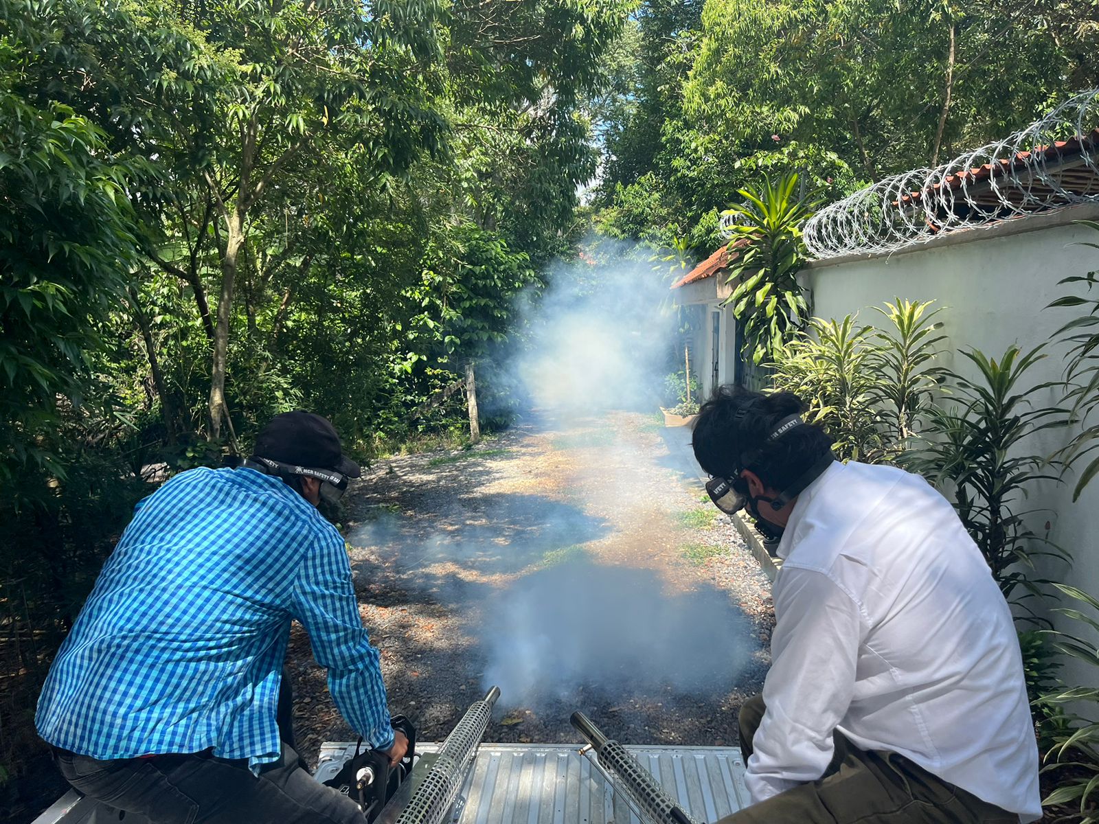 Desde casa se evita el dengue, zika y chikungunya eliminando criaderos de mosco