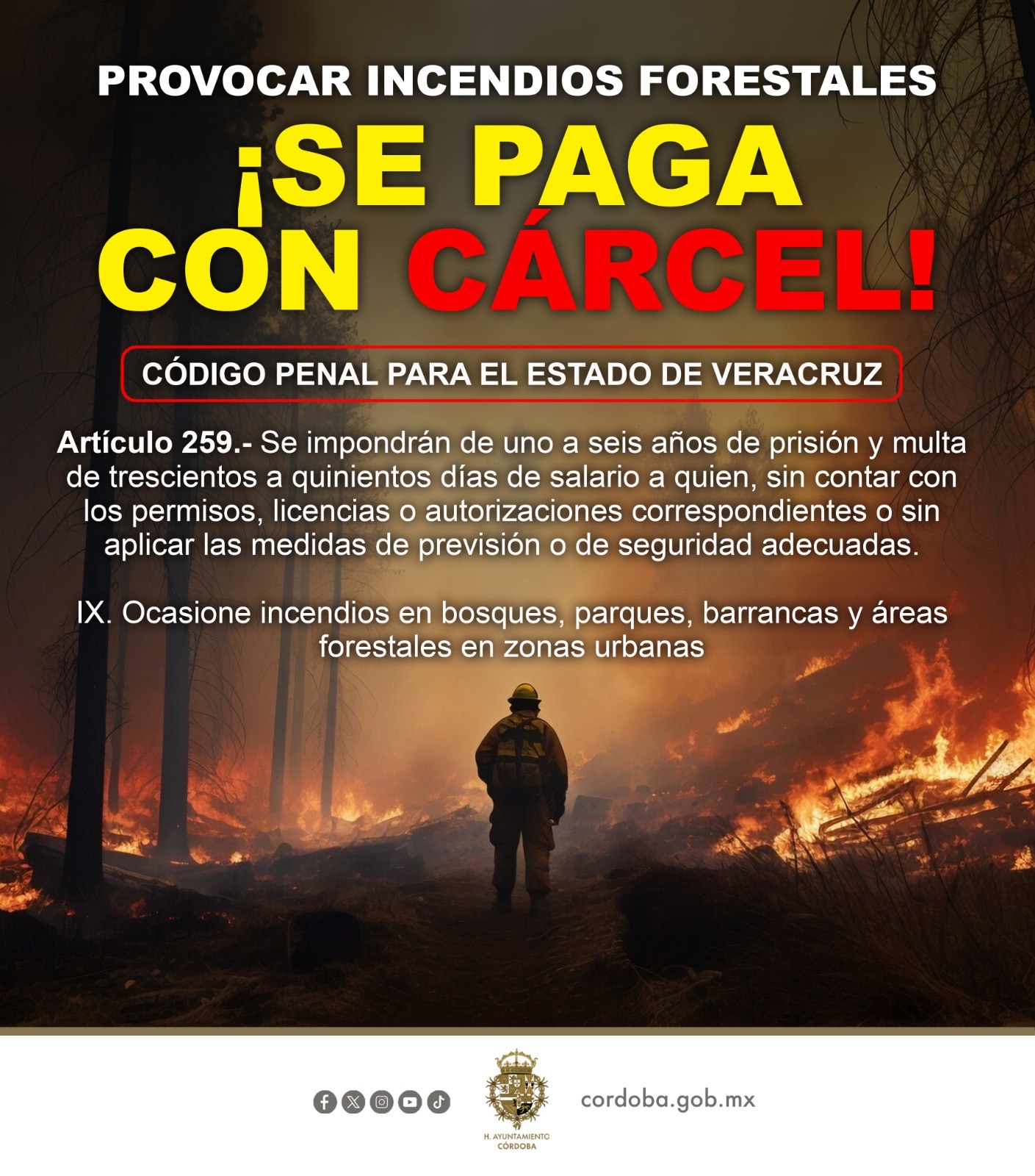 Las quemas agropecuarias fuera de la Norma Oficial Mexicana están prohibidas